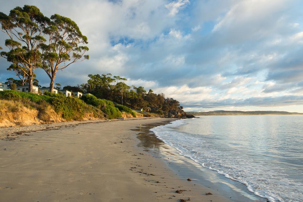 Swansea Beach Chalets Esterno foto